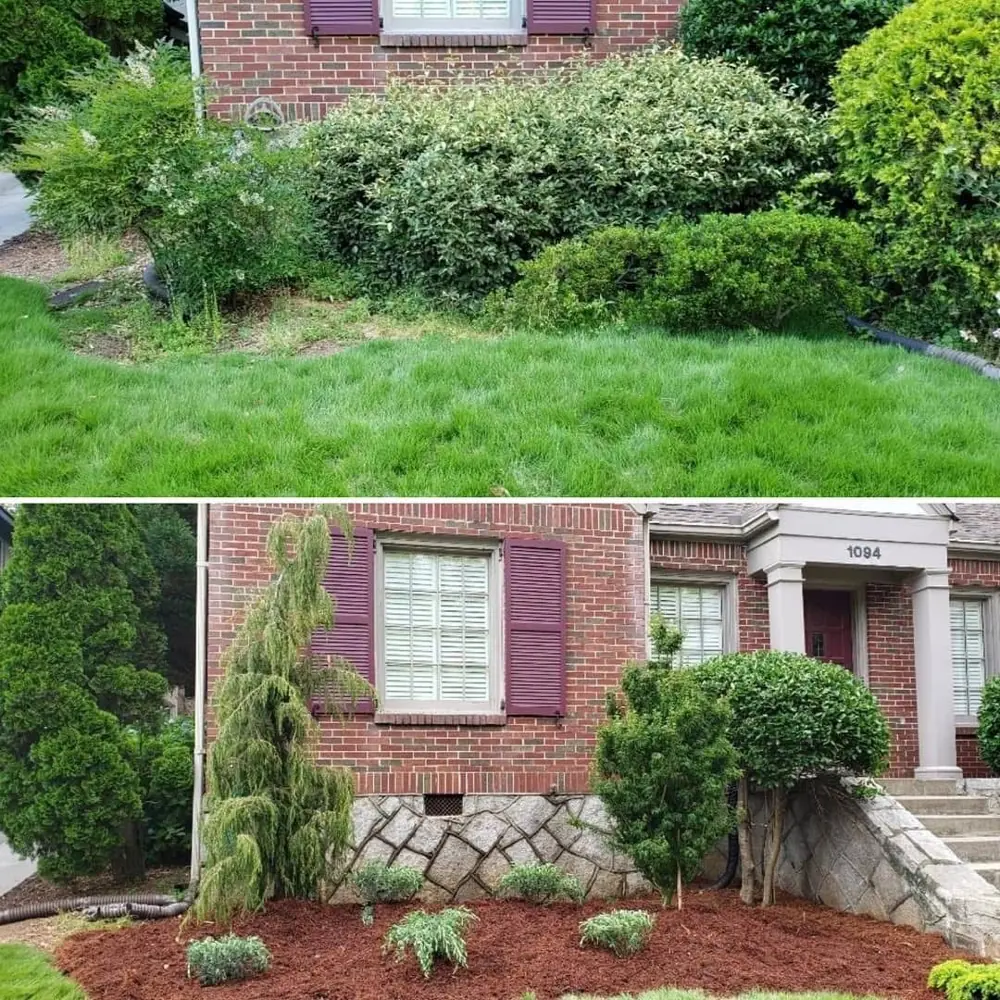 Front landscaping refresh before and after in a bungalow front yard