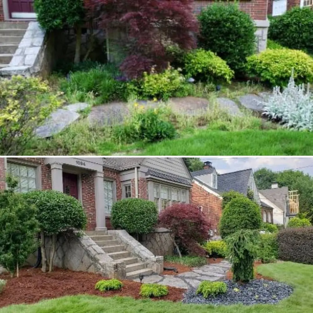 Front landscaping refresh before and after