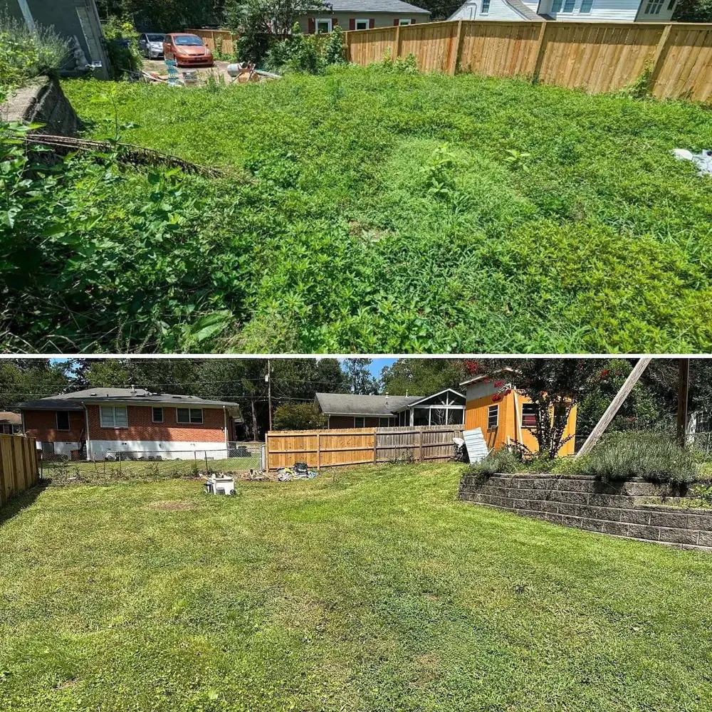 Overgrown hillside before and after mowing