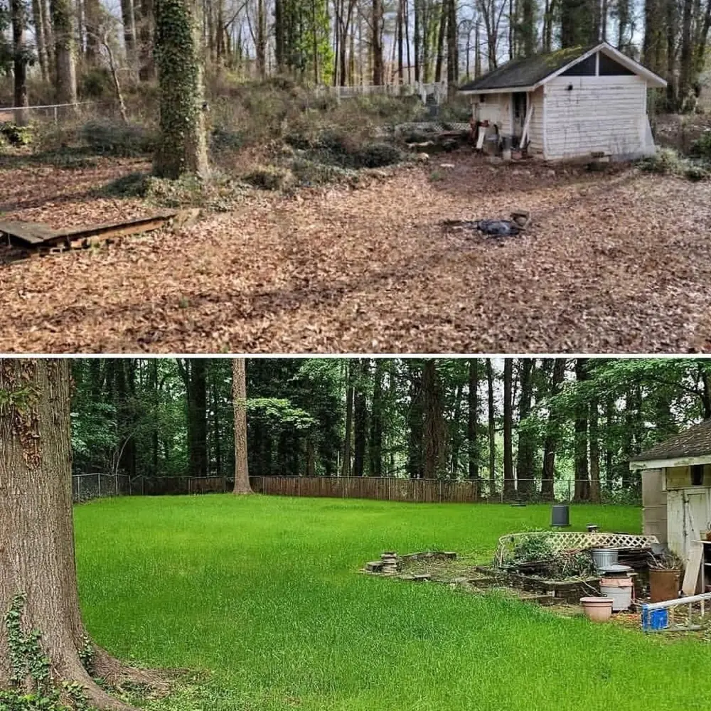 Backyard cleanup and new sod