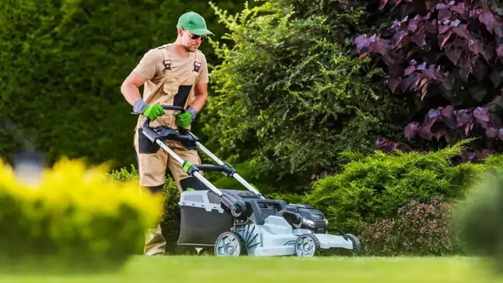 Grant Wallace mowing a front lawn with an electric mower
