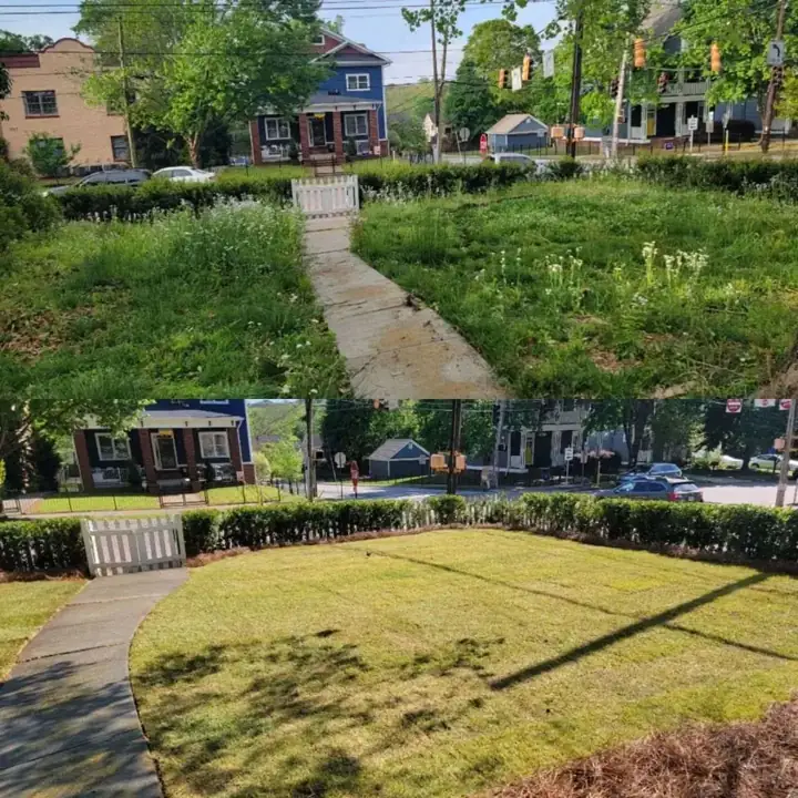 Before and after: an overgrown front yard mowed and edged