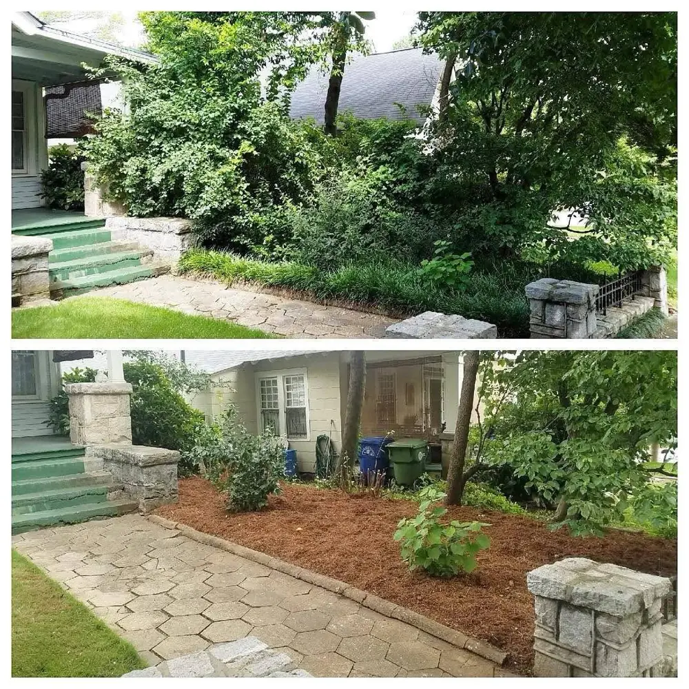 Fresh pine straw and new plantings in a front yard by Grantlanta Lawn