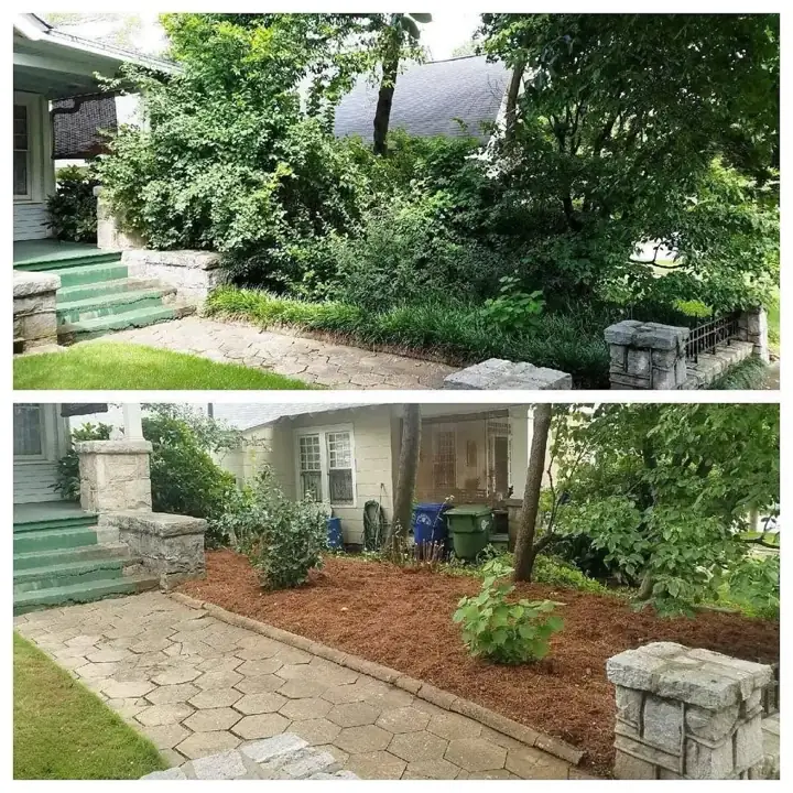 Fresh pine straw and new plantings in a front yard
