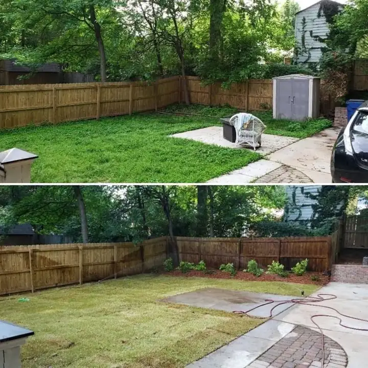 New sod installed in a backyard